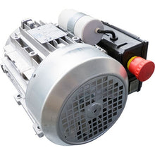 Load image into Gallery viewer, Replacement Motor for Motorized Destemmer WE235 &amp; WE236