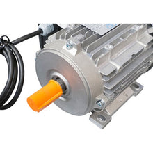 Load image into Gallery viewer, Replacement Motor for Motorized Destemmer WE235 &amp; WE236